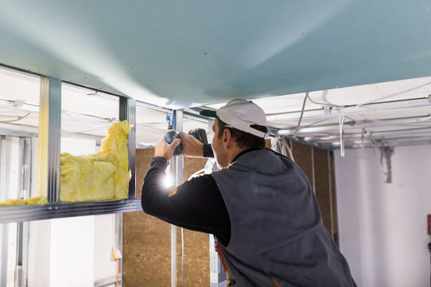 Best Attic Insulation Installation  in Braddock Heights, MD