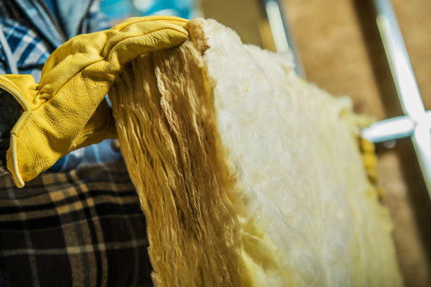 Best Insulation Removal  in Braddock Heights, MD