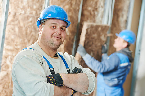 Best Insulation Inspection Services  in Braddock Heights, MD