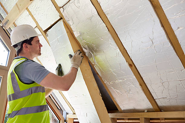 Best Attic Insulation Installation  in Braddock Heights, MD